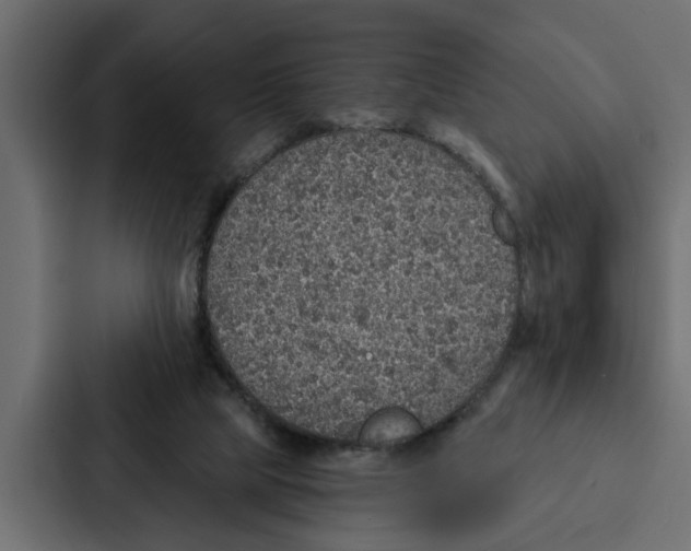 X0000087040065200705160939