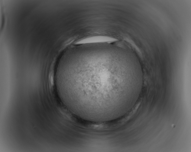 X0000087040068200705160939