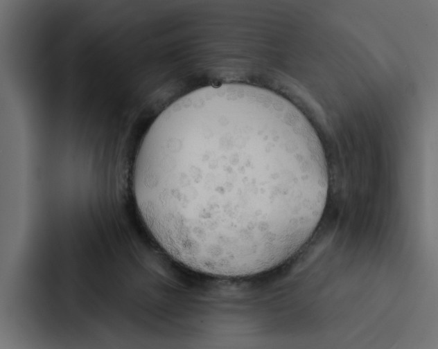 X0000087040073200705160939