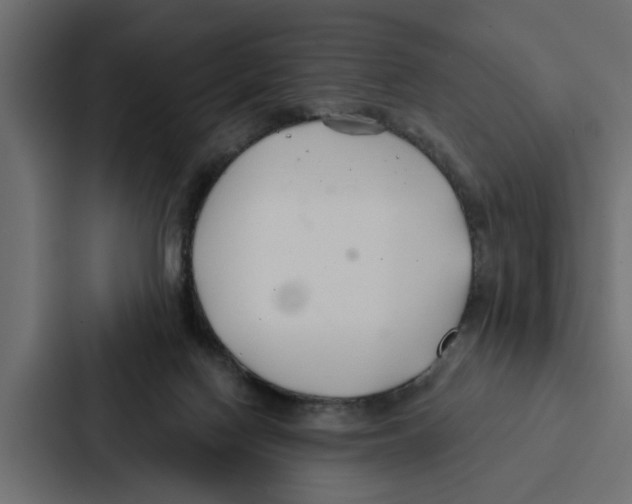 X0000087040074200705160939