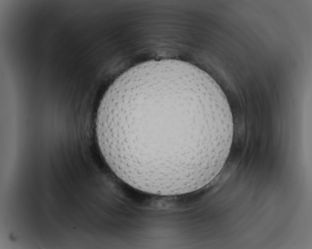 X0000087040078200705160939