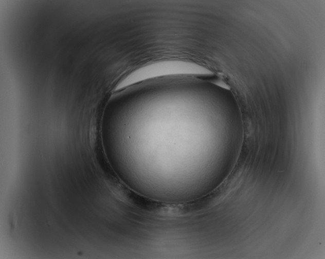 X0000087040080200705160939