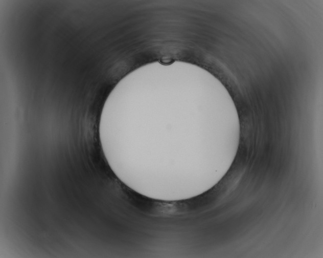 X0000087040083200705160939