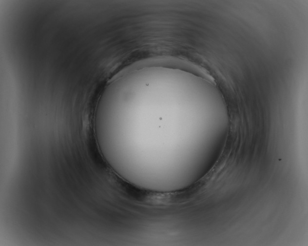 X0000087040084200705160939