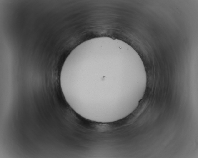 X0000087040085200705160939