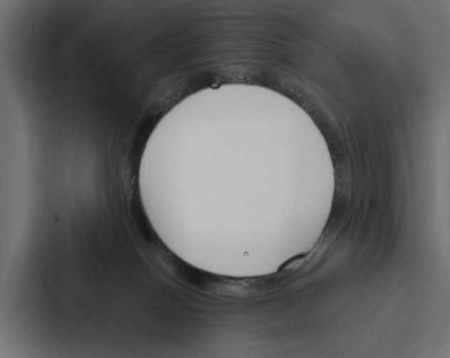 X0000087040086200705160939