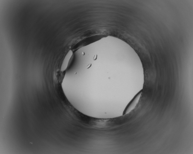 X0000087040090200705160939