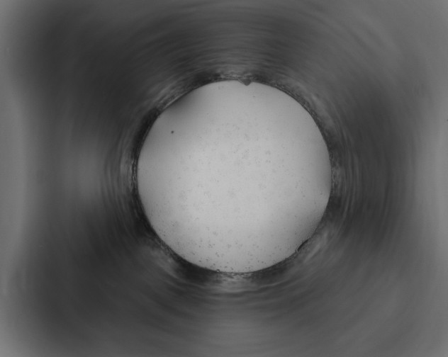 X0000087040093200705160939