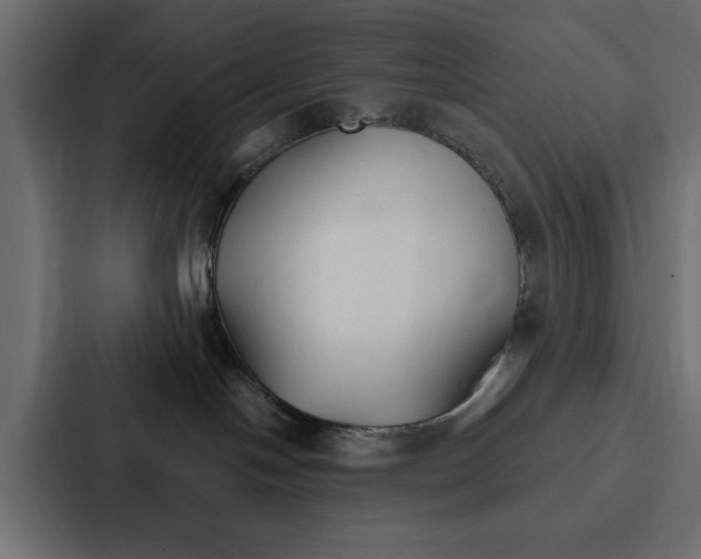 X0000087040094200705160939