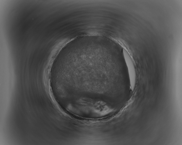 X0000087040097200705160938