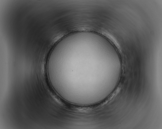 X0000087040105200705160938