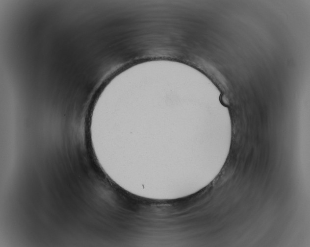 X0000087040108200705160938