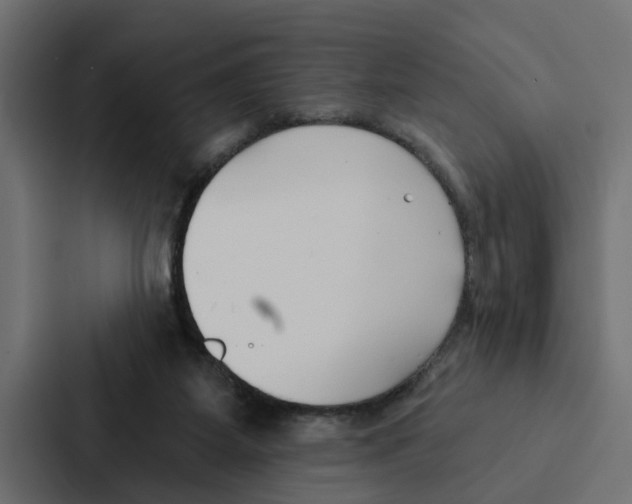 X0000087040115200705160938