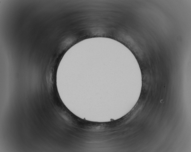 X0000087040116200705160938