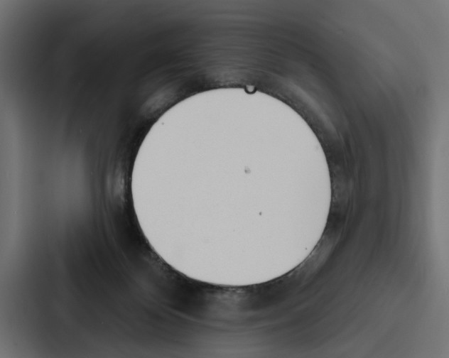 X0000087040124200705160938