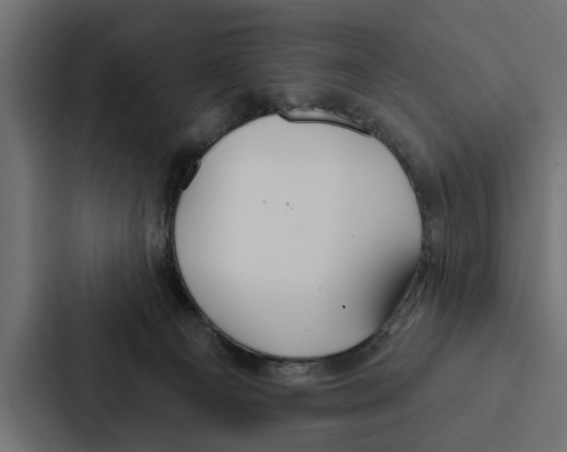 X0000087040129200705160938