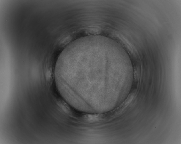 X0000087040134200705160938