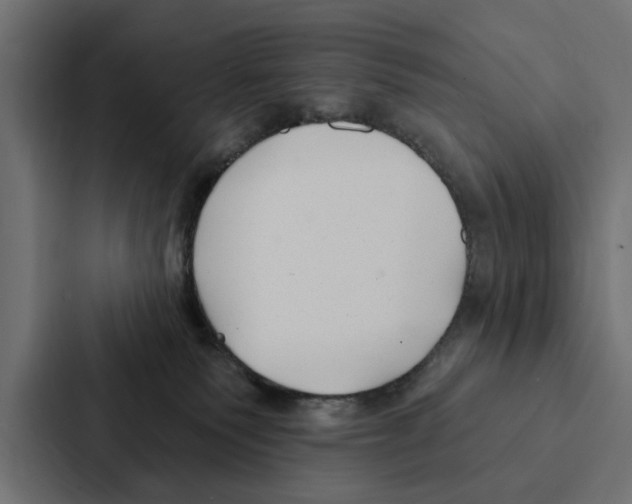 X0000087040135200705160938