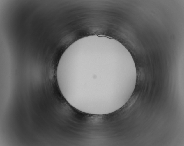 X0000087040138200705160938