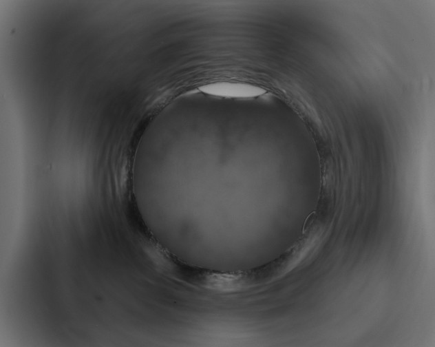 X0000087040139200705160938