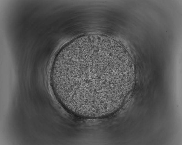 X0000087040145200705160937