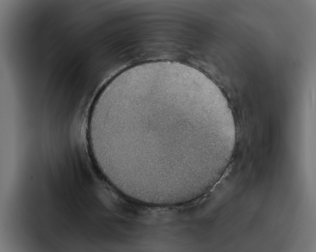 X0000087040146200705160937