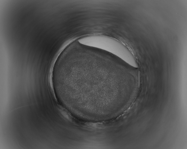 X0000087040147200705160937