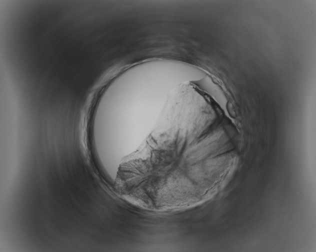 X0000087040149200705160937