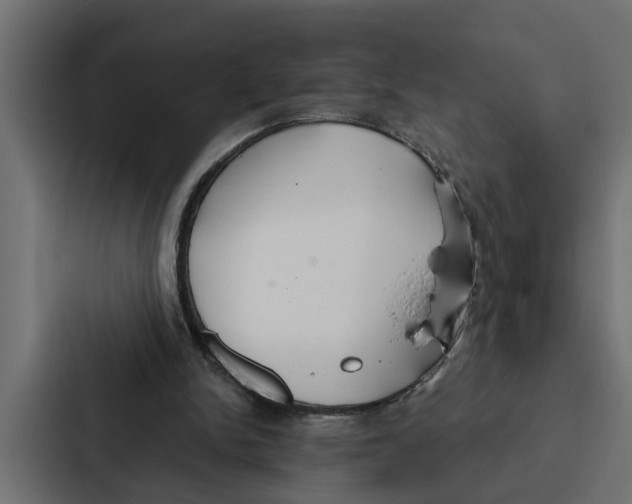 X0000087040150200705160937