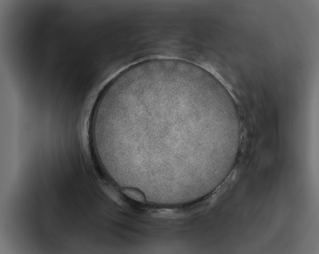 X0000087040151200705160937