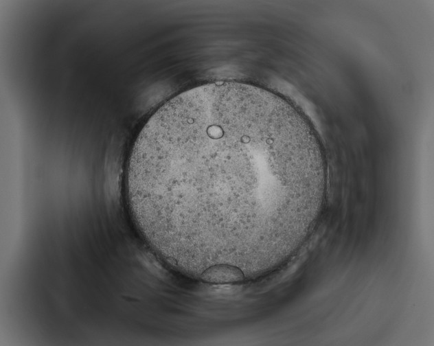 X0000087040153200705160937