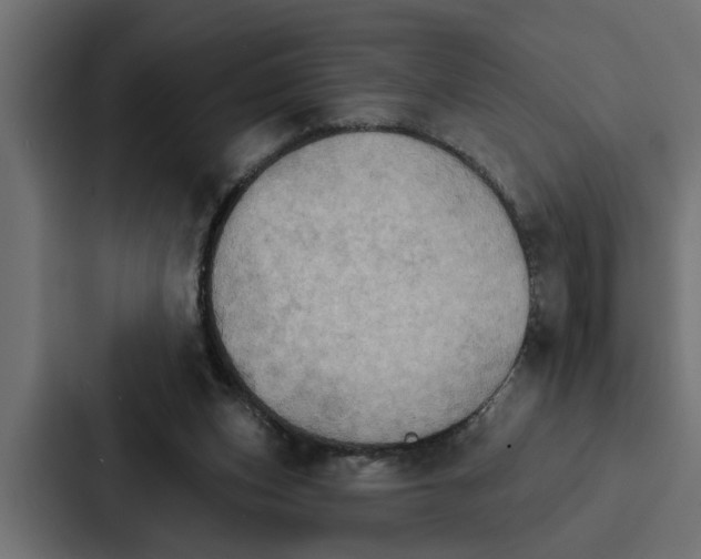 X0000087040159200705160937