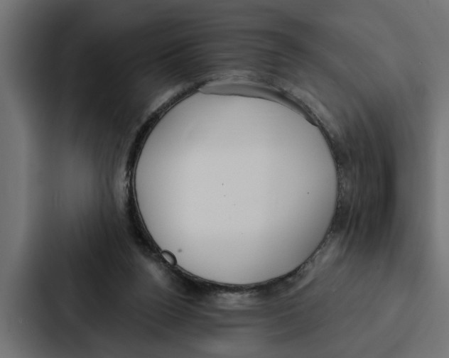 X0000087040160200705160937