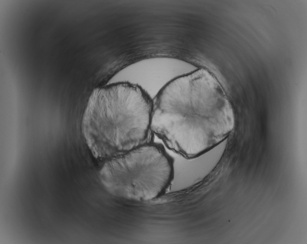 X0000087040161200705160937