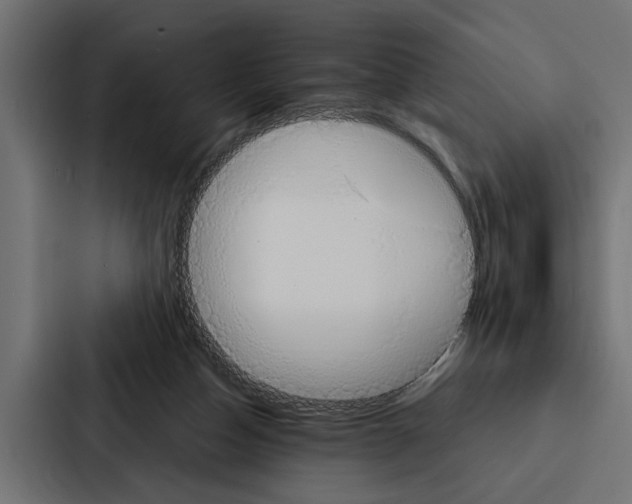 X0000087040162200705160937