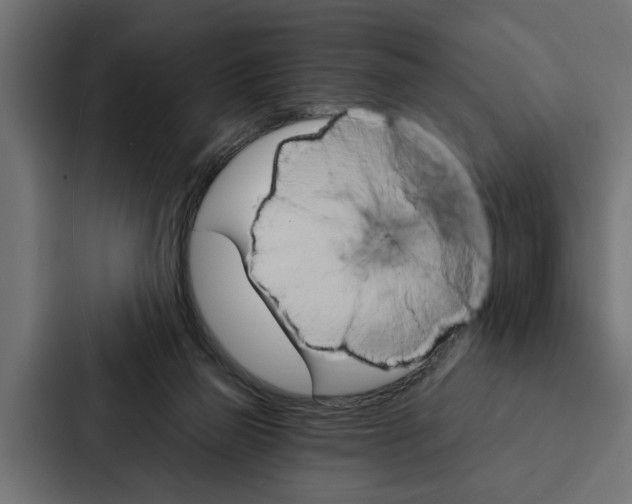 X0000087040165200705160937