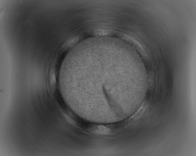 X0000087040166200705160937