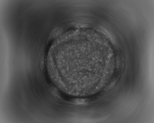 X0000087040169200705160937