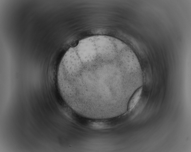 X0000087040171200705160938