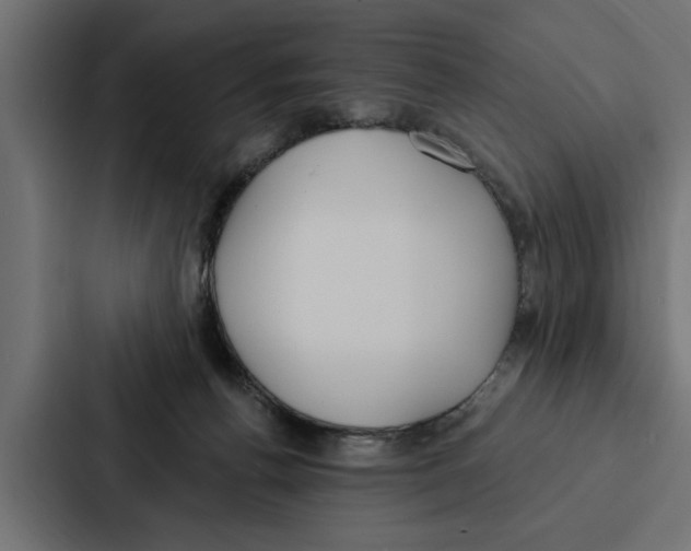 X0000087040176200705160938