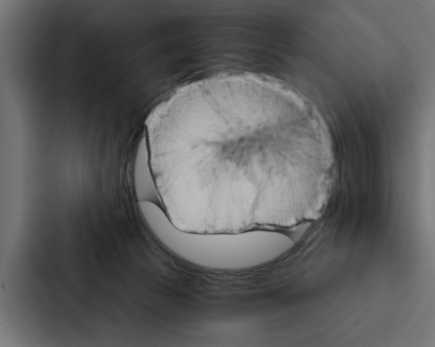 X0000087040177200705160938