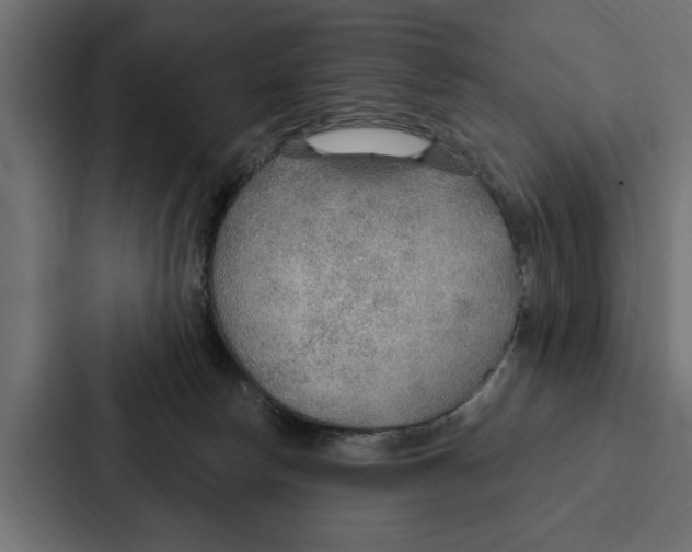 X0000087040178200705160938