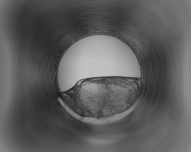 X0000087040181200705160938