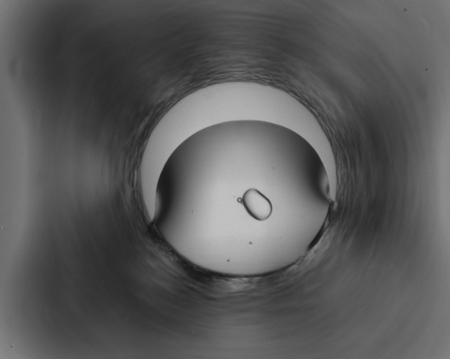 X0000087040184200705160938