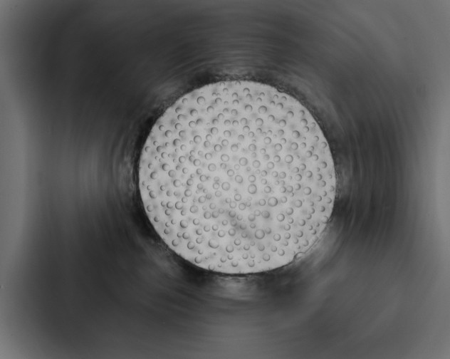 X0000087040187200705160938