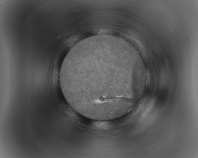 X0000087040189200705160938