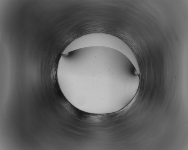 X0000087040190200705160938