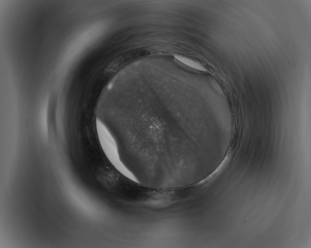 X0000087040191200705160938