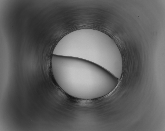 X0000087040192200705160938