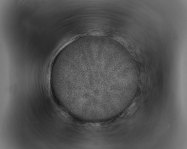 X0000087040194200705160937